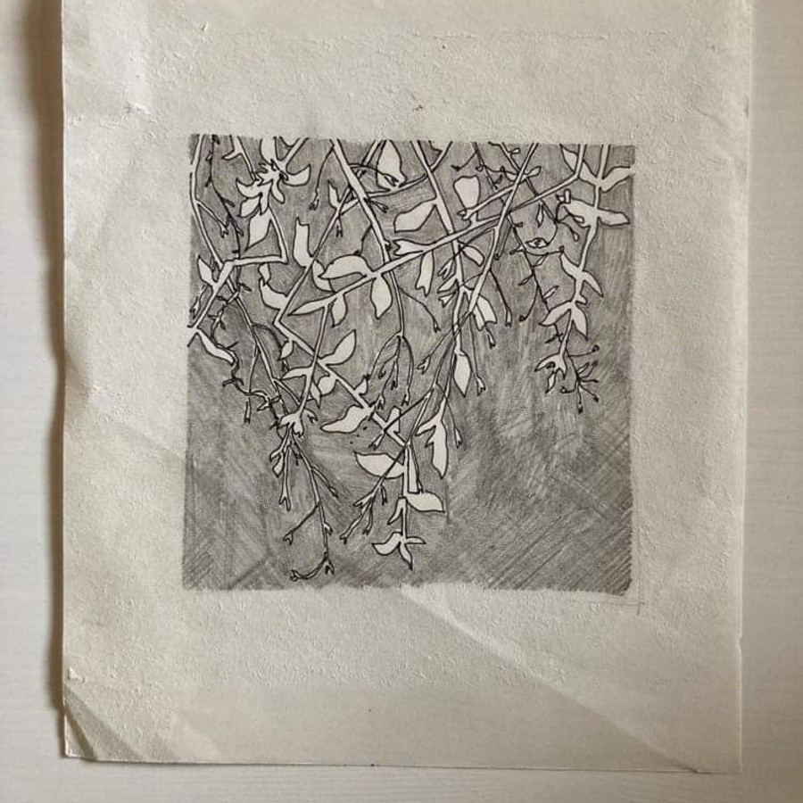 Ilustrace Zuzany Šmídové