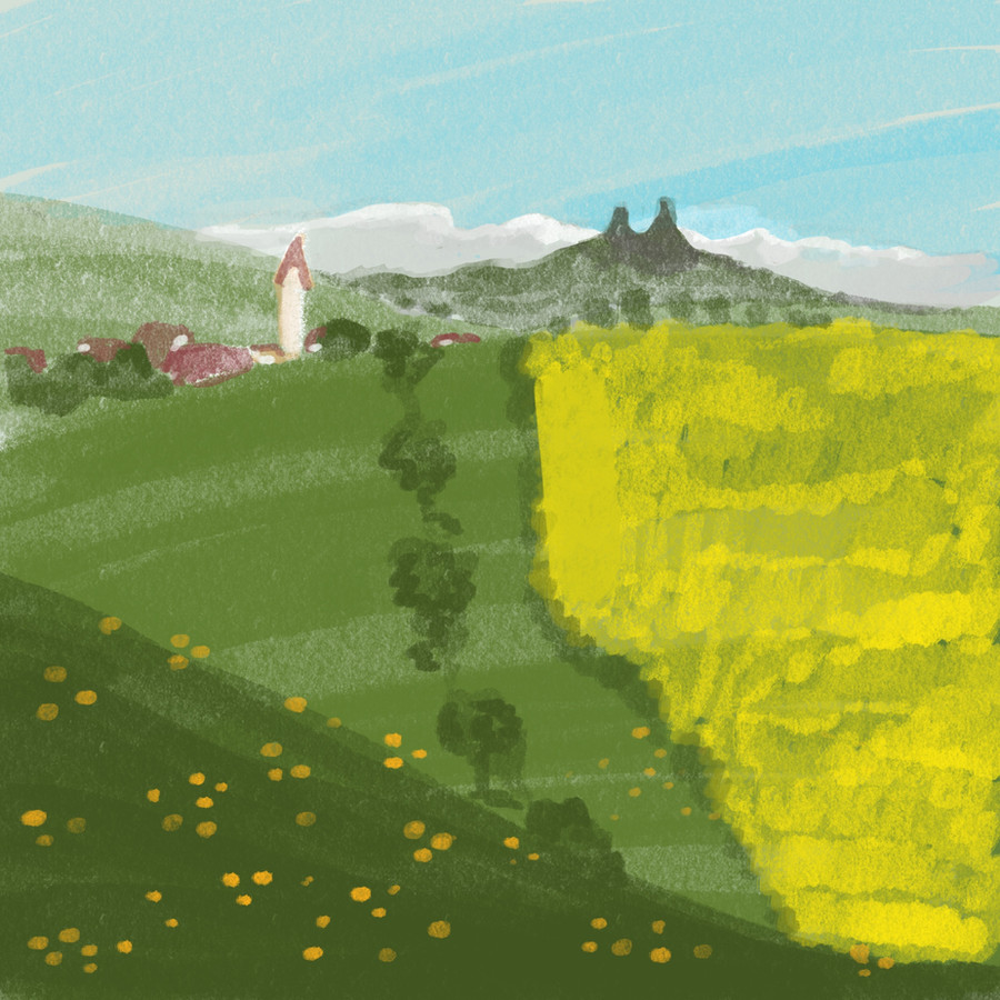 Ilustrace Zuzany Šmídové