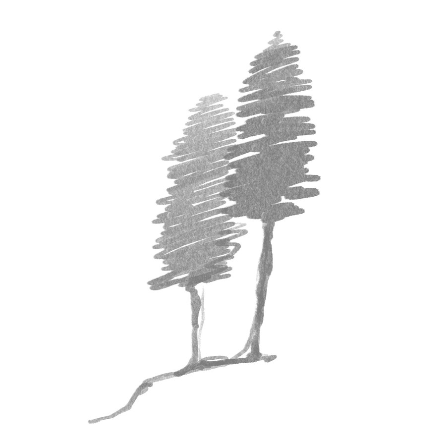 Ilustrace Zuzany Šmídové