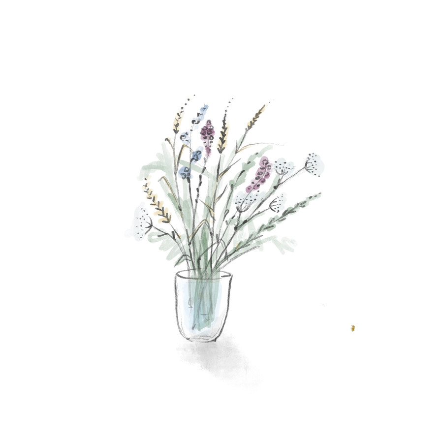 Ilustrace Zuzany Šmídové