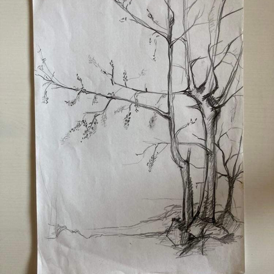Ilustrace Zuzany Šmídové