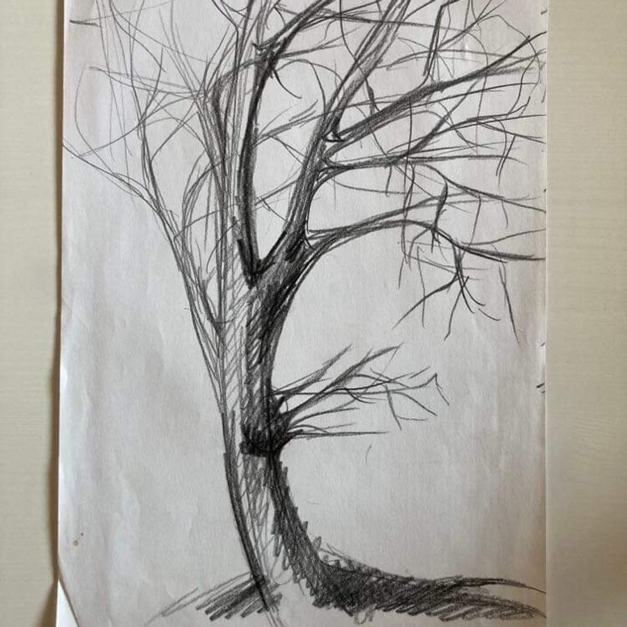 Ilustrace Zuzany Šmídové