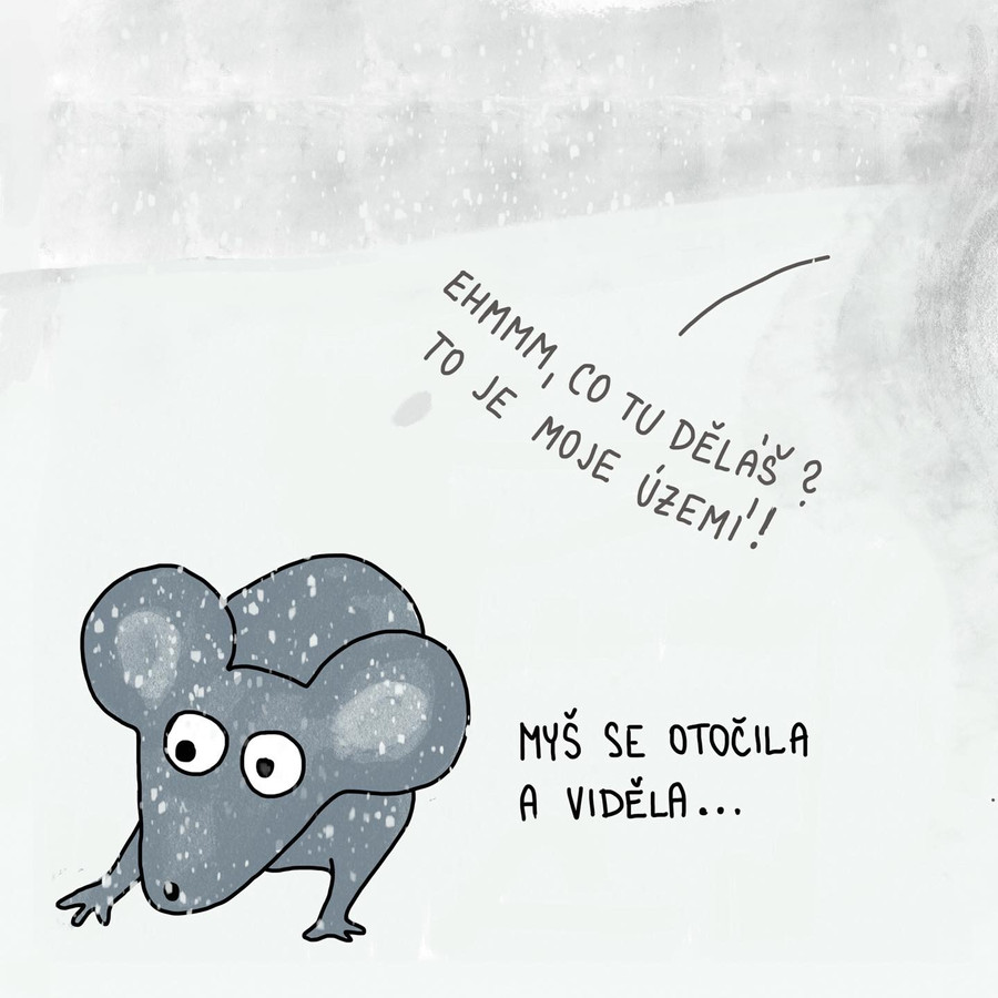 Ilustrace Zuzany Šmídové