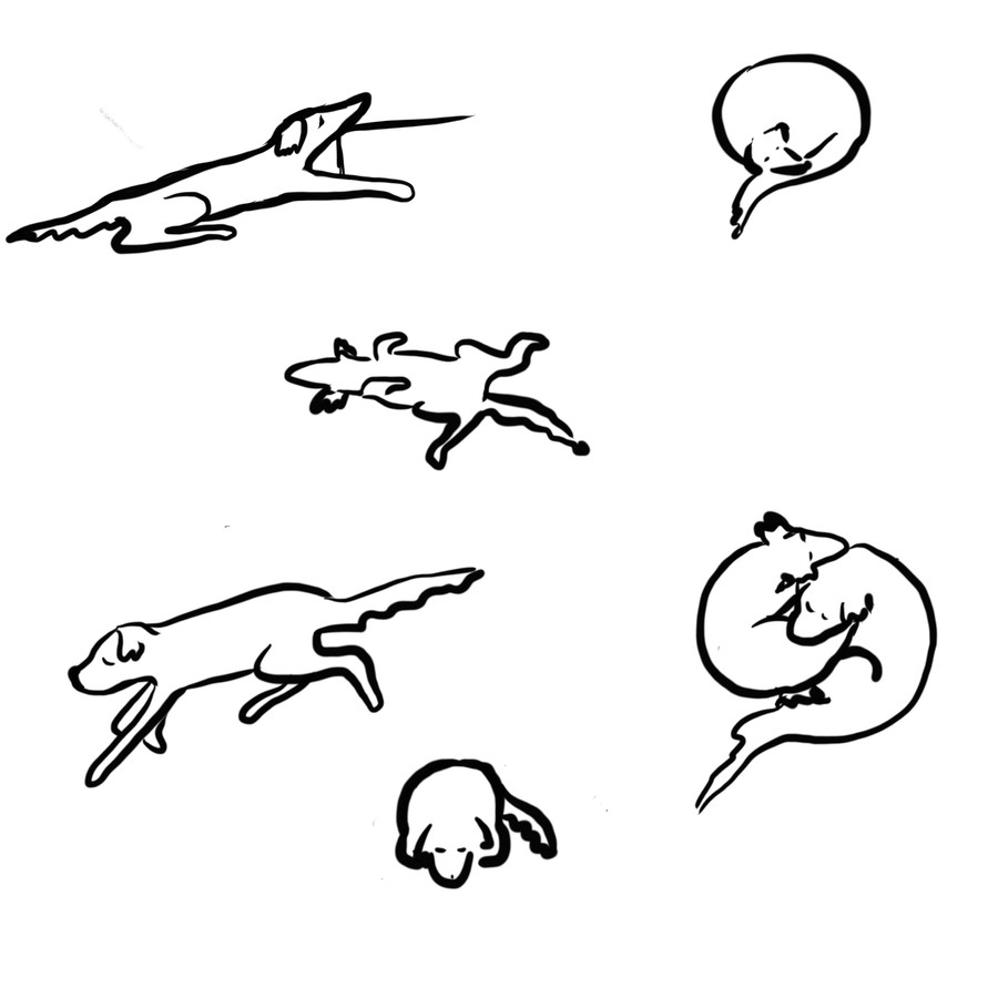 Ilustrace Zuzany Šmídové