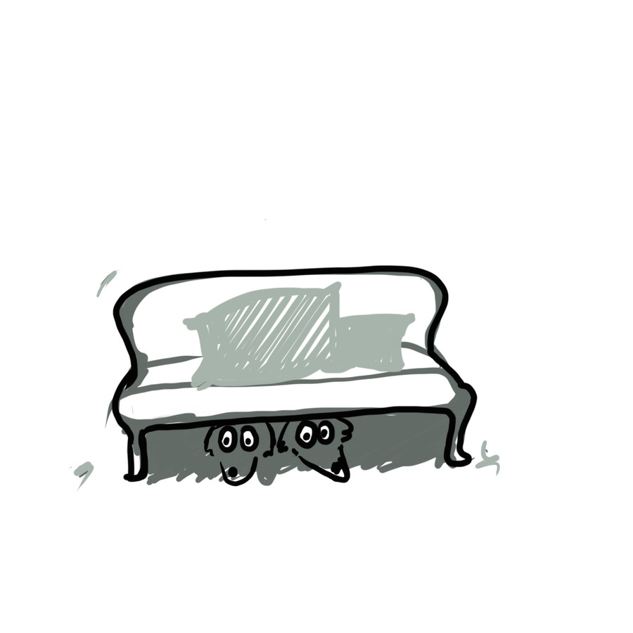 Ilustrace Zuzany Šmídové