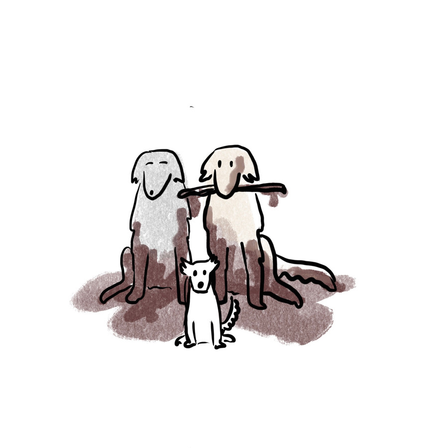 Ilustrace Zuzany Šmídové